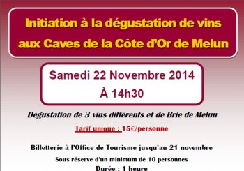 Aux caves de la Côte d’Or : dégustation de 3 vins et de brie de Melun