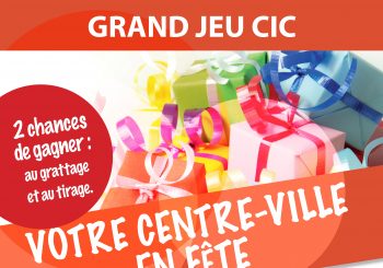 Votre Centre-Ville en Fête du 8 au 22 novembre 2014