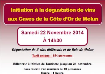 Aux caves de la Côte d’Or : dégustation de 3 vins et de brie de Melun