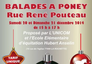 Balades à Poney, rue René Pouteau les 20 et 21 décembre